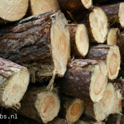 Minibiebs in Baarn van lokaal hout