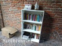 Boekenkast bij het Agnietenhofje in Zutphen. minibieb Agnietenhof.
