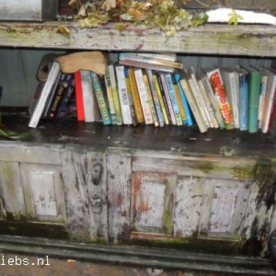 <a title='Bekijk details Minibieb Herenwaltje' href='https://minibiebs.nl/minibieb/minibieb-herenwaltje'>Minibieb Herenwaltje</a>