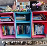  minibieb Stavenisse.