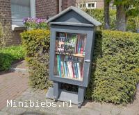 Minibieb in Twello. minibieb Holthuizerstraat.