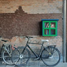  minibieb Van der Tasstraat.